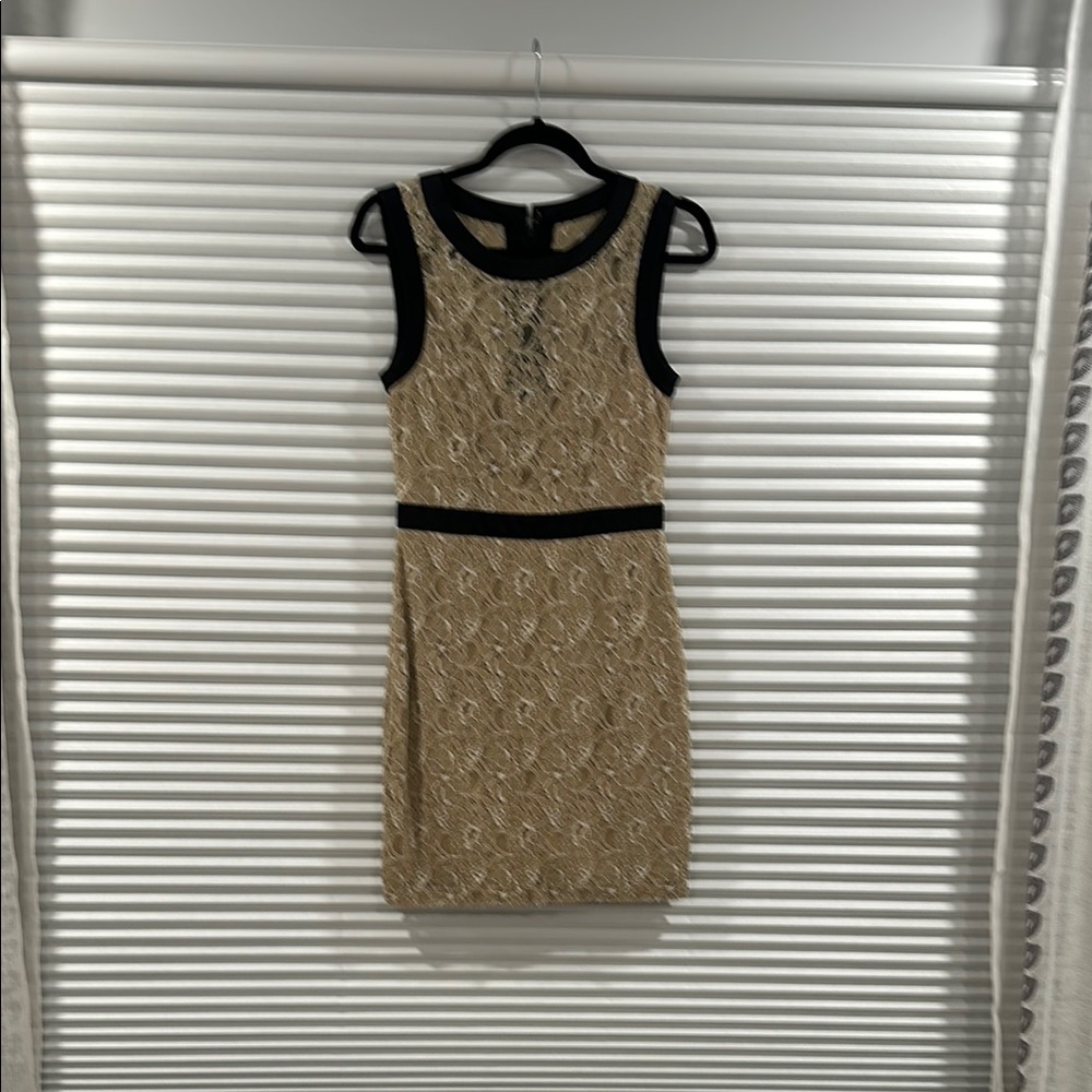 Chic Black and Gold Sleeveless Dress